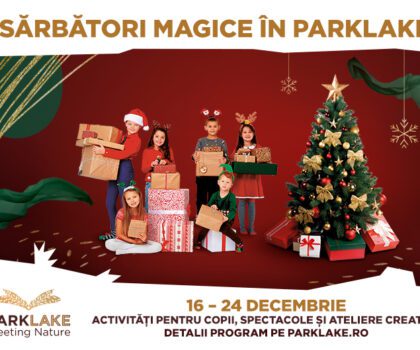 COMUNICAT DE PRESĂ – De Crăciun, dăruiește surprize celor dragi alături de ParkLake