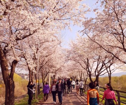 7 idei de plimbări în aer liber pentru această primăvară. Beneficii și idei de gustări sănătoase
