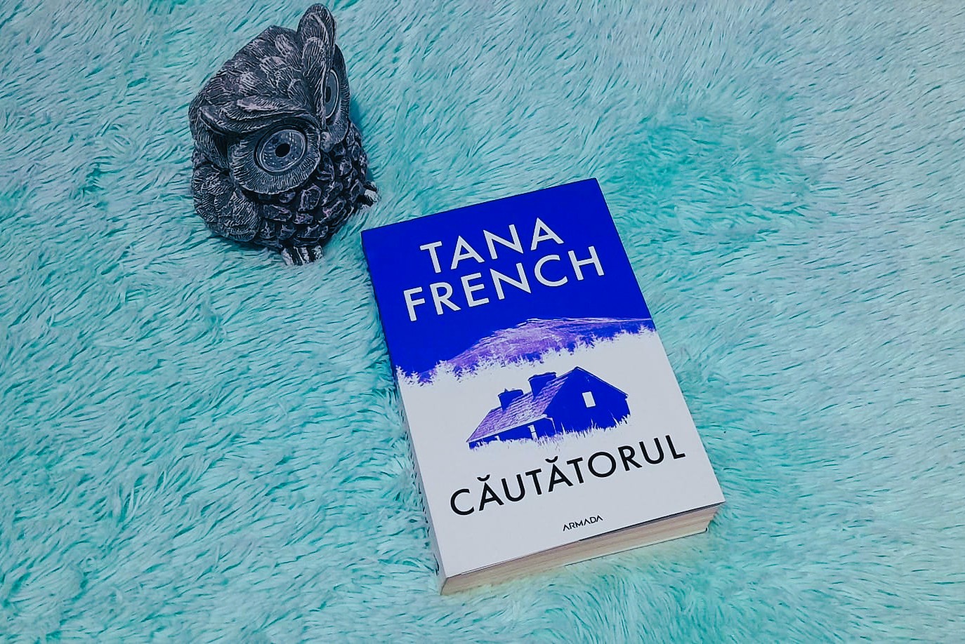 Căutătorul – Tana French